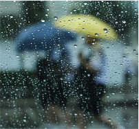 雨水の濾過をしたい